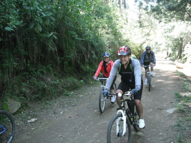  Guided tours 